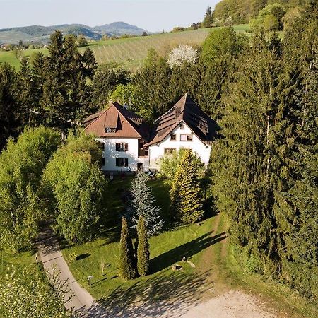 Gaestehaus Kaltenbach Hotel Staufen im Breisgau Exterior photo